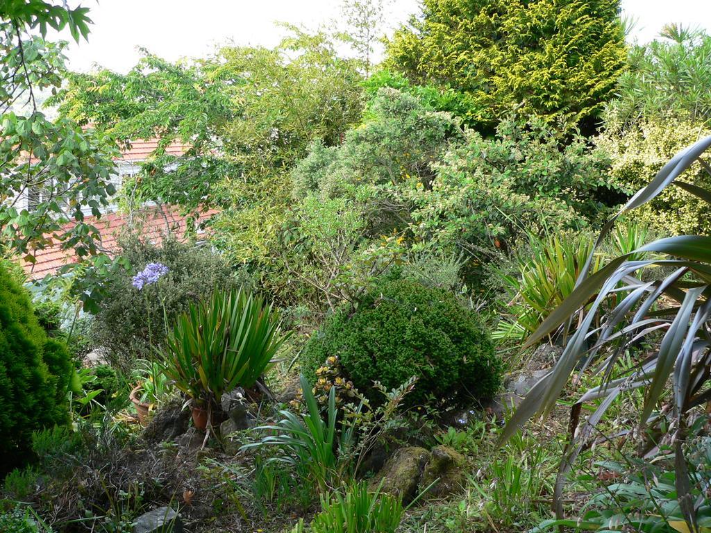 Mount Hobson Apartments Auckland Kültér fotó