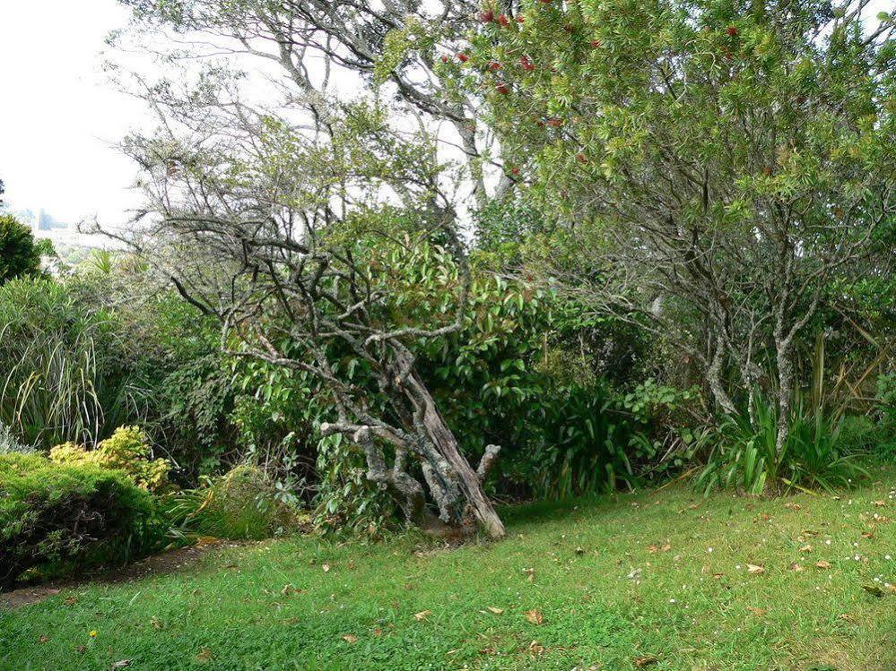 Mount Hobson Apartments Auckland Kültér fotó
