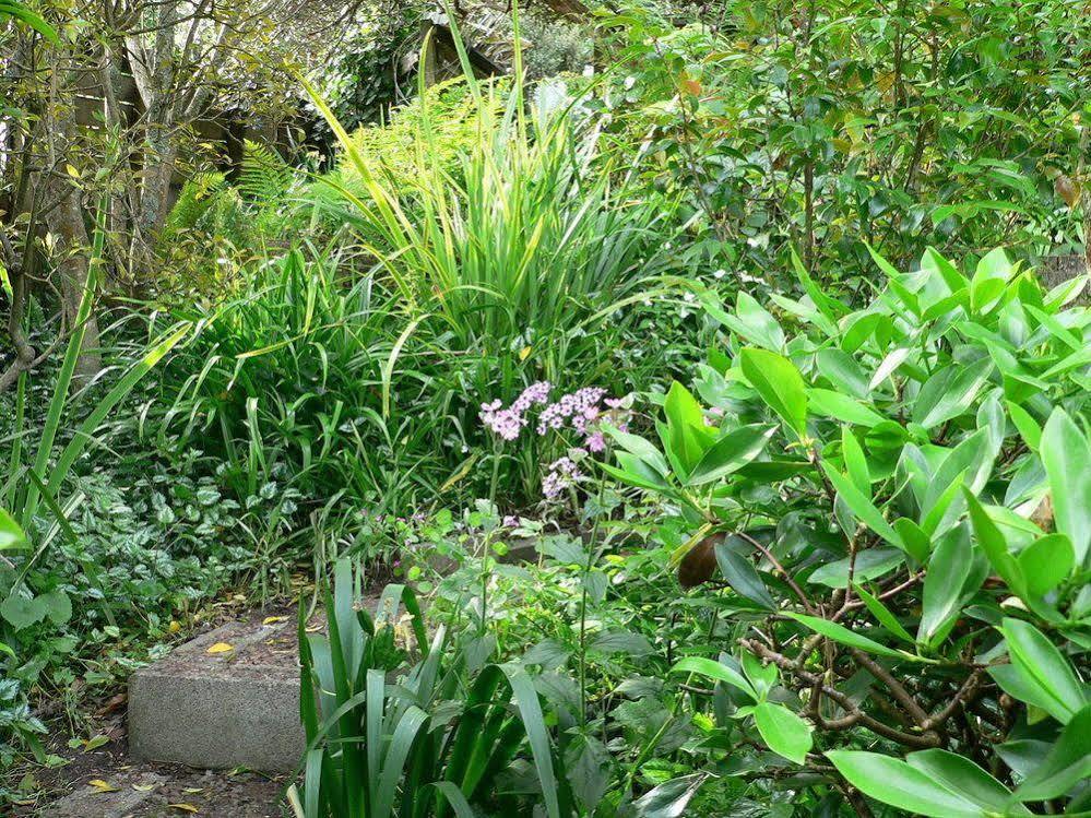 Mount Hobson Apartments Auckland Kültér fotó